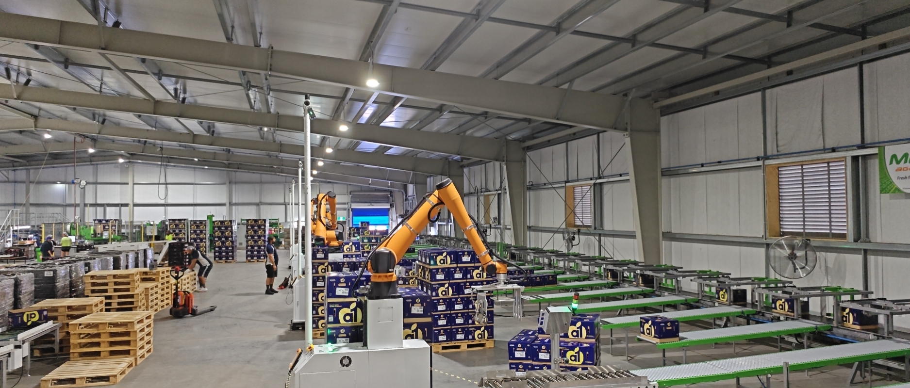 Apple packaging line